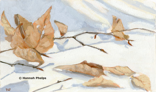 Beech Leaves