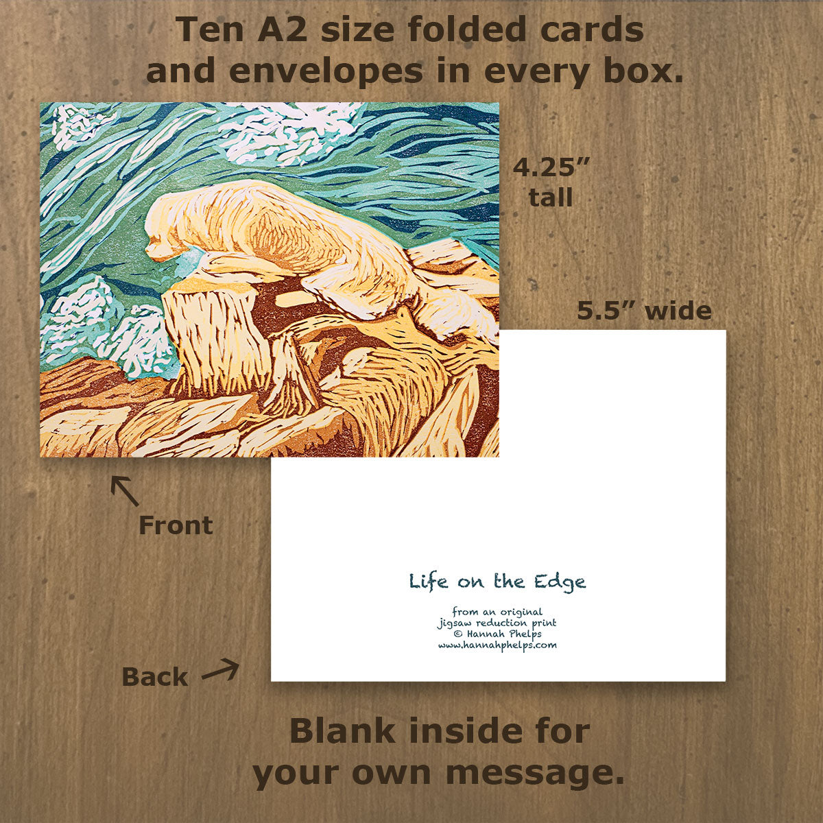 Note cards featuring a golden retriever on the rocky coast of New England by New Hampshire artist Hannah Phelps.