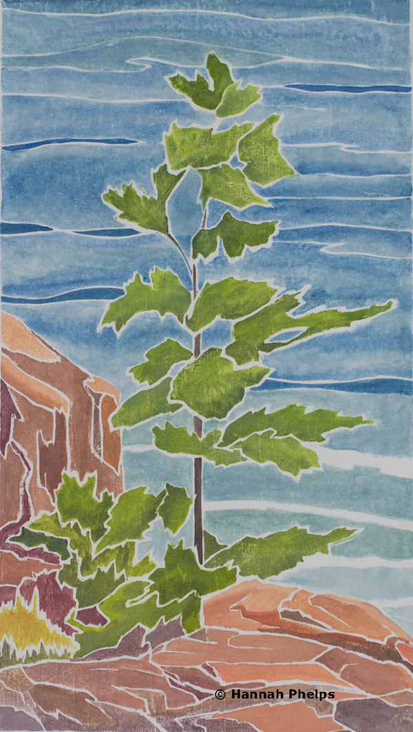 Daring, Acadia National Park, white-line woodcut print