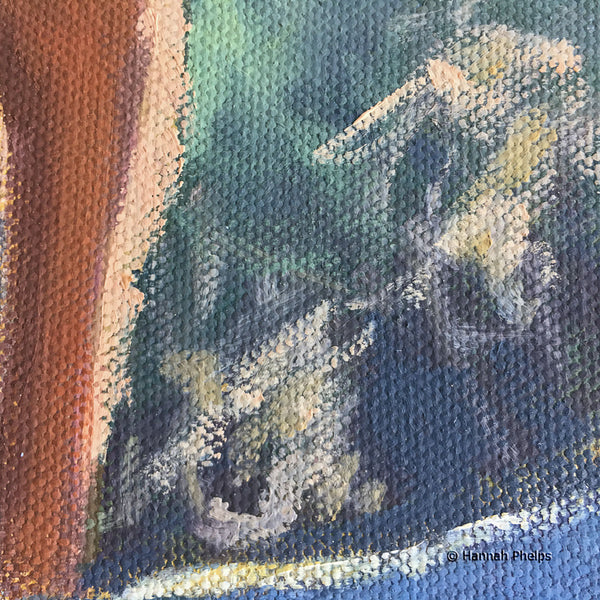 Wet Dog in the Sun