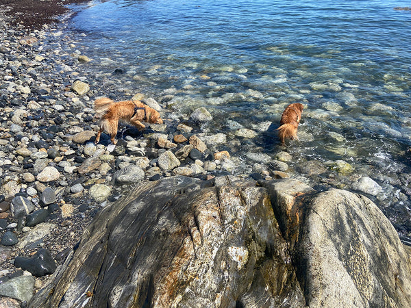 Clear Water