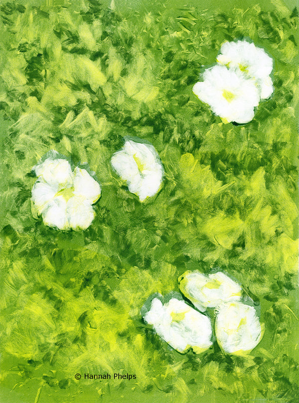 Seven White Roses