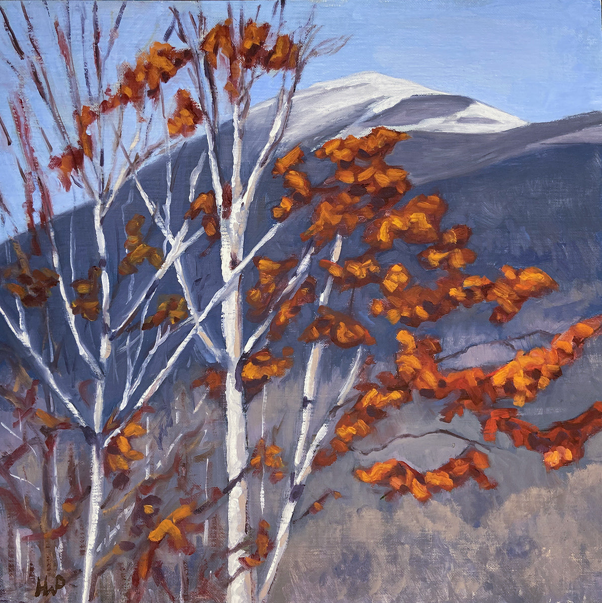 Late Autumn Leaves