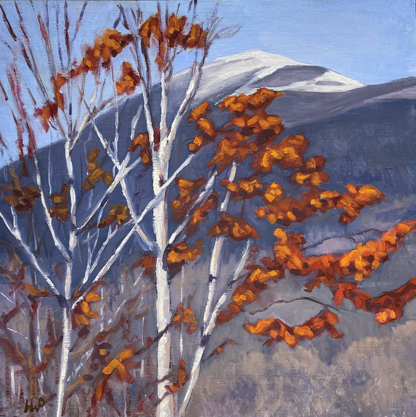 Late Autumn Leaves