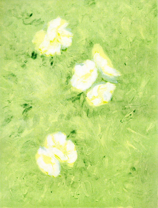 Ghostly White Roses