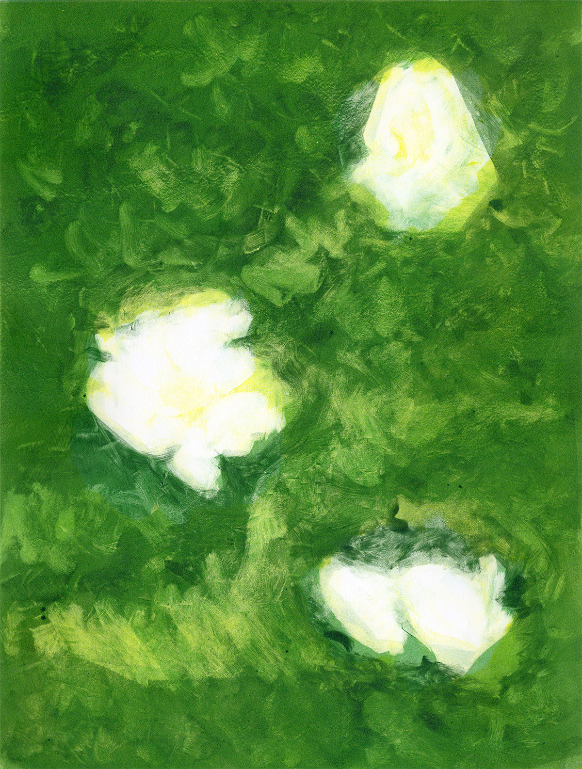Rose Bush II