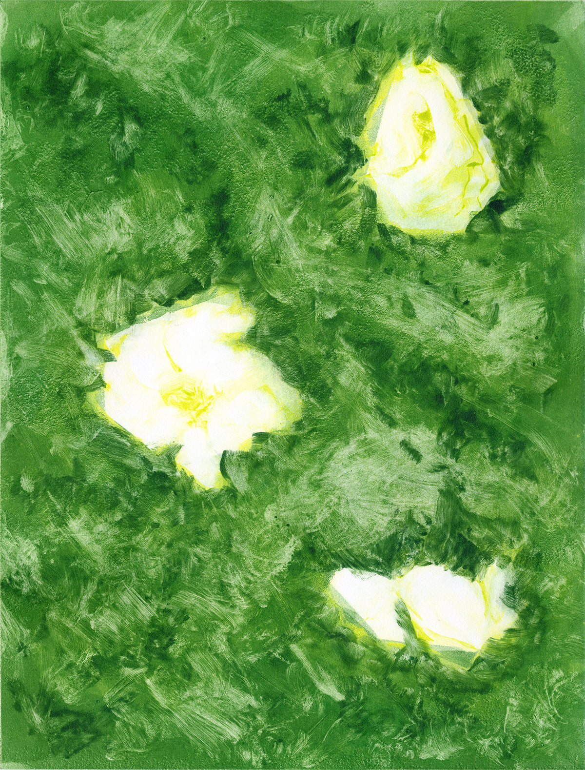Rose Bush