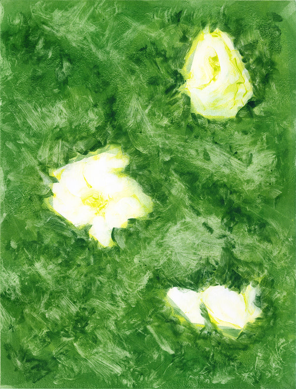Rose Bush