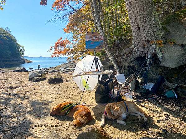 Two golden retrievers resting next to Hannah Phelps' easel in Wolfe's Neck State Park in Maine.