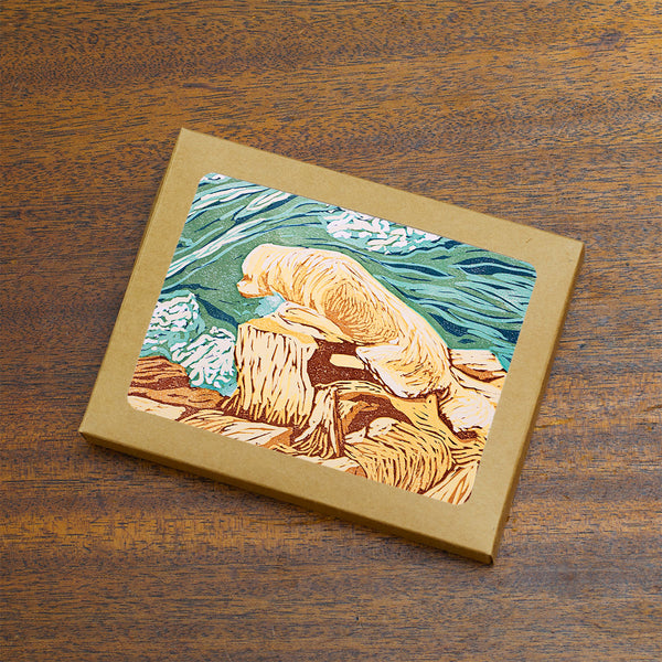 Note cards featuring a golden retriever on the rocky coast of New England by New Hampshire artist Hannah Phelps.