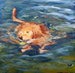 Oil painting of a Golden Retriever dog swimming by artist Hannah Phelps