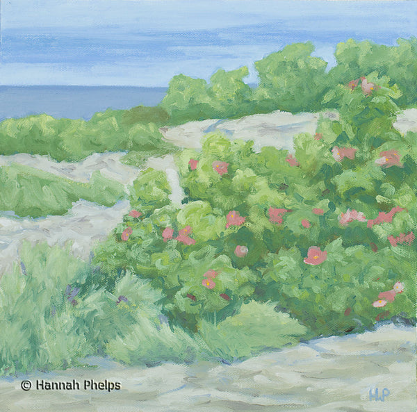 Oil painting of beach roses on the rocky coast of Maine by artist Hannah Phelps