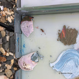 Close up of artist Hannah Phelps' oil painting pallette and the shells she had to use as tools one day.