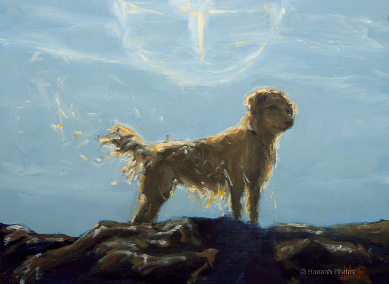 Oil painting of a golden retriever dog on a rock by artist Hannah Phelps