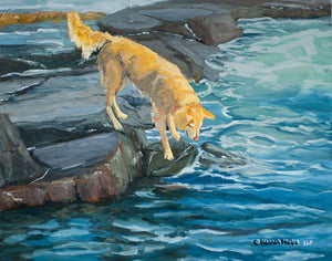 Oil painting of a Golden Retriever dog playing by the sea by New England artist Hannah Phelps