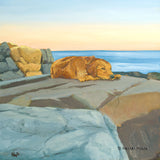 Oil painting of a golden retriever dog and a dramatic evening sky on the coast of New England by artist Hannah Phelps.
