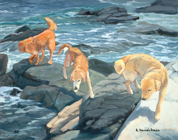 Oil painting of a Golden Retriever dogs playing by the sea by New England artist Hannah Phelps
